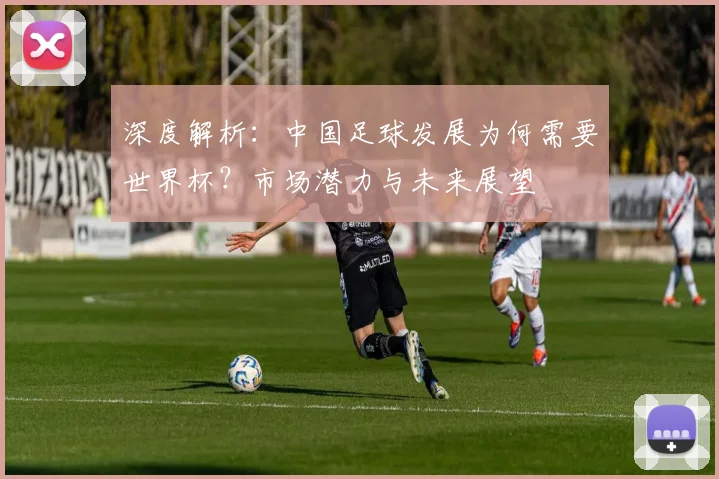 深度解析:中国足球发展为何需要世界杯?市场潜力与未来展望